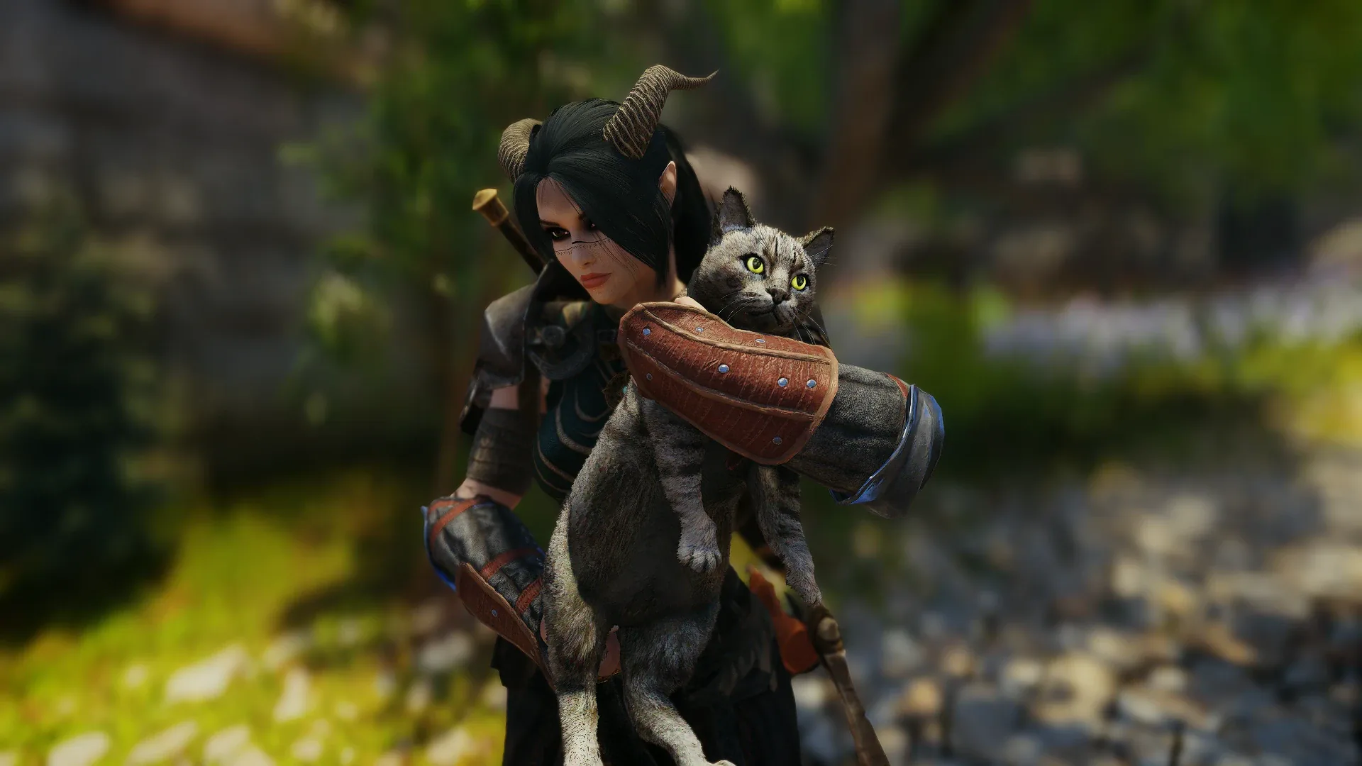 A Skyrim character carries a house cat in both arms outdoors.