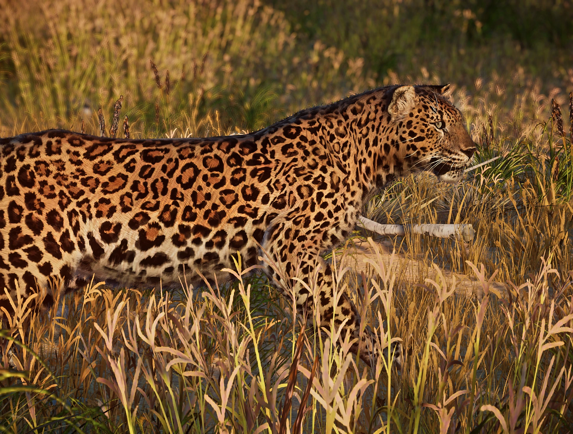 Seropan Leopard in Planet Zoo, shown in the creator's release gallery.